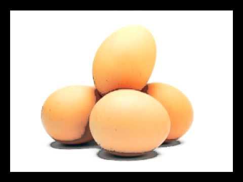 Video 4 - Jim Haslett