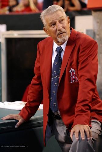 Bobby Knoop - Professional Sports Motivational Speaker