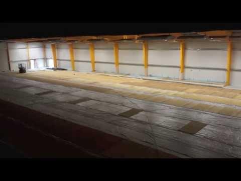 Video 2 - Dylan Larkin