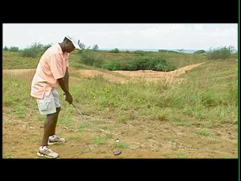 Video 5 - Vijay Singh