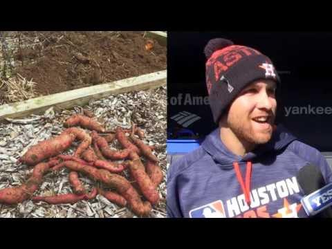 Video 6 - Collin McHugh