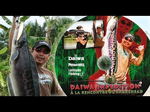 Video 5 - Kim Hayashi