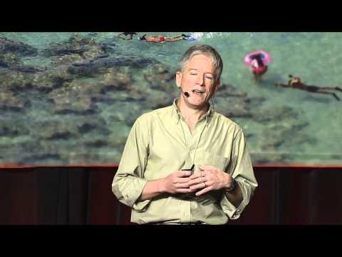 Video 2 - Dave Campbell