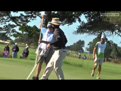 Video 3 - Briny Baird