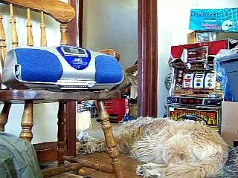 Video 2 - Steve Elkington