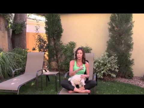 Video 4 - Debbie Siebers