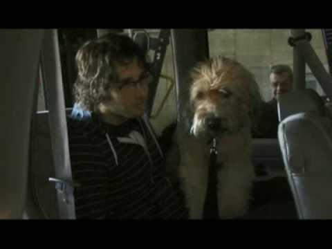 Video 5 - Josh Sweeney