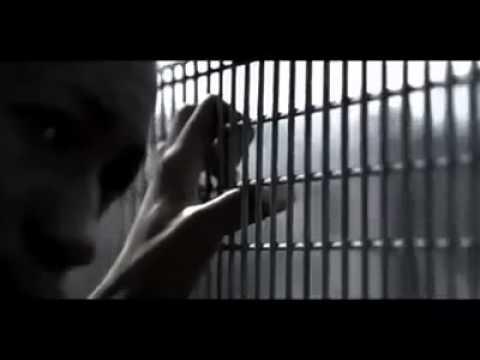 Video 3 - Bobby Rahal