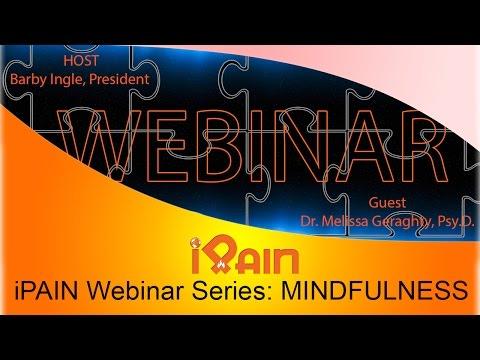 Video 3 - Steve Palermo