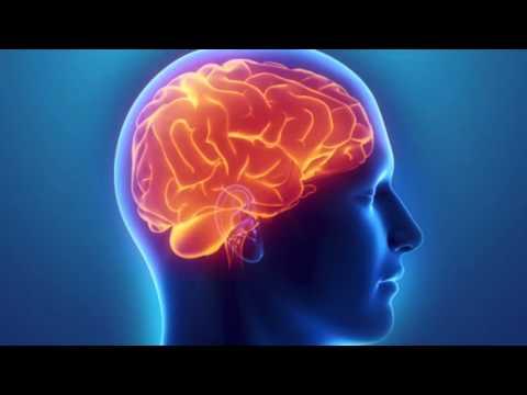 Video 2 - Kendall Wright