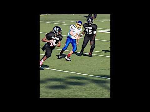 Video 2 - Miami Dolphins Cheerleaders