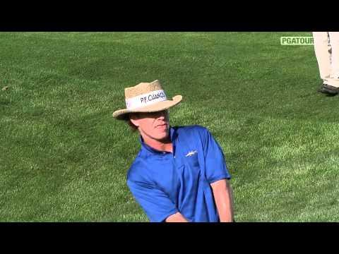 Video 4 - Briny Baird