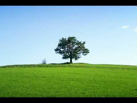 Video 2 - George McPhee