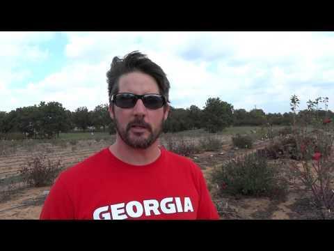 Video 5 - Ryan McNeil