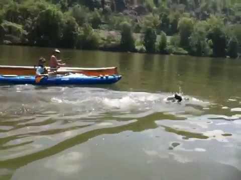 Video 5 - Mimi Hughes