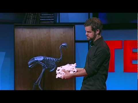 Video 3 - Magnus Larsson