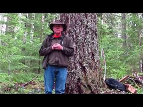 Video 5 - Norm Johnson