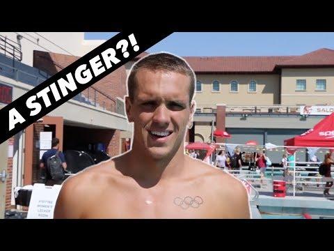 Video 5 - Tom Shields