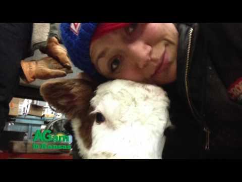 Video 1 - Katie Uhlaender