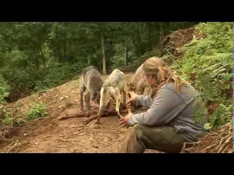 Video 3 - Shaun Ellis