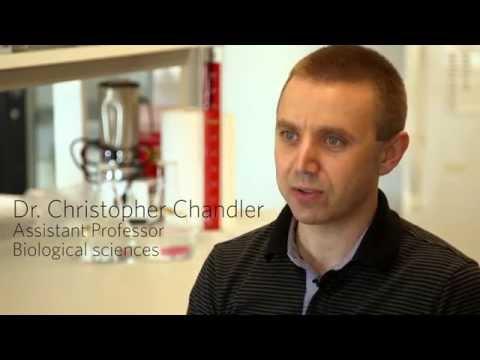 Video 3 - Chris Chandler