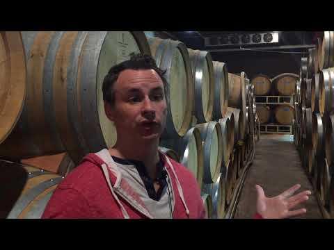 Video 4 - Mark Snyder