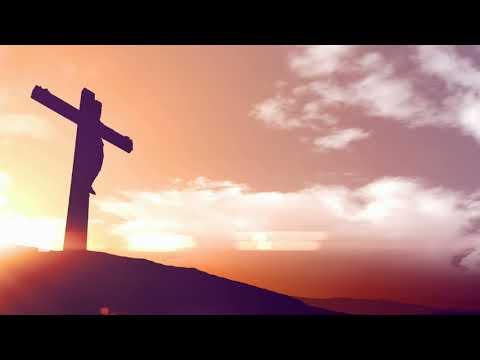 Video 5 - Mark Moseley