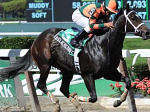 Video 1 - Rosie Napravnik