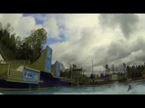 Video 6 - Hannah Kearney