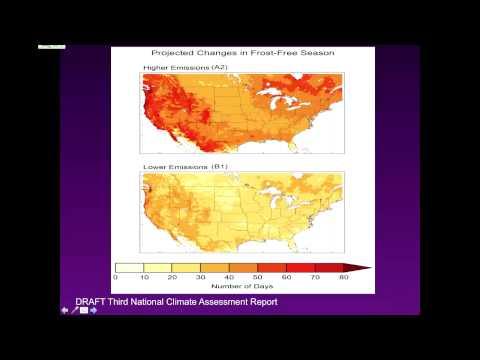 Video 2 - Jamaal Charles