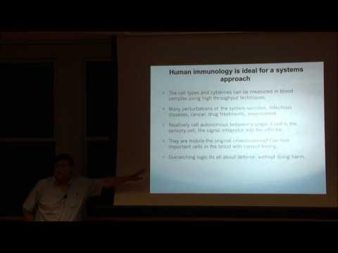 Video 2 - Mark Davis