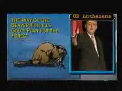 Video 3 - Mark Snyder