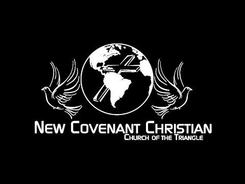 Video 2 - Dennis Lindsey