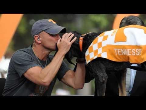 Video 1 - Condredge Holloway