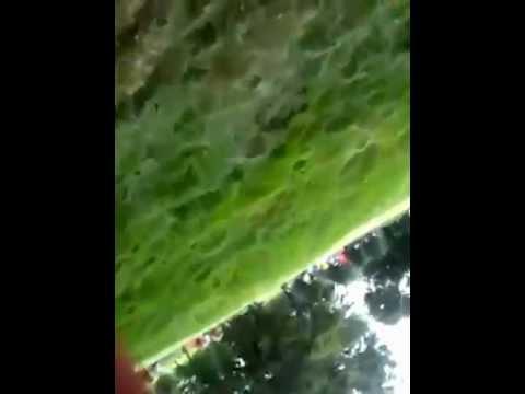 Video 1 - Lee Westwood