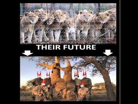 Video 6 - John Benton