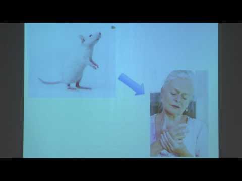 Video 3 - John Wallace