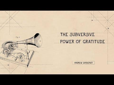 Video 3 - Nathan Palmer