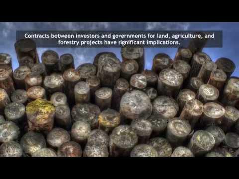 Video 6 - Mike Jarvis