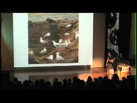 Video 1 - Warwick Stevenson