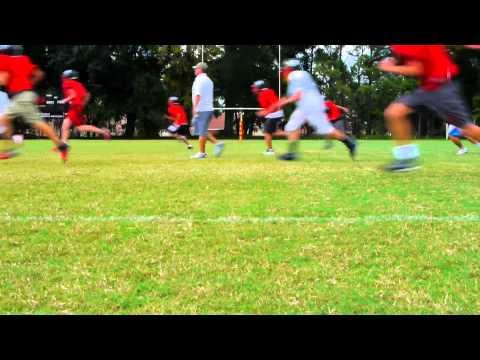 Video 1 - Dante Bichette