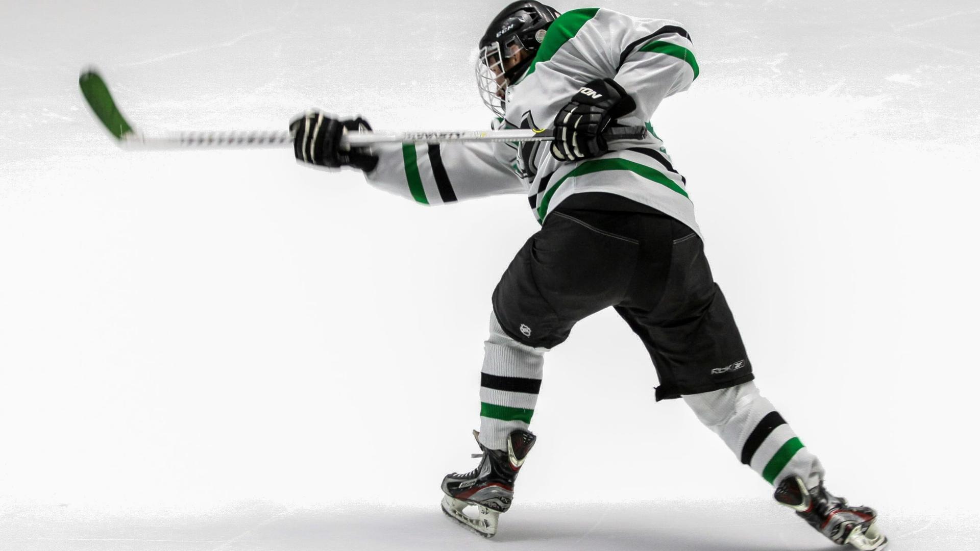 Hockey Speakers speakers